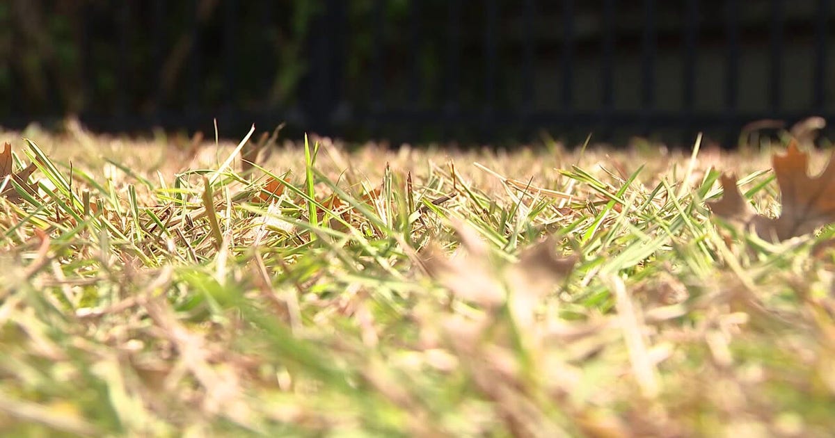 Tampa Bay area water restrictions extended through March 2027