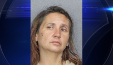 Woman stole cruiser from BSO headquarters, drove nearly 80 miles before getting caught in Port St. Lucie, detectives say - WSVN 7News | Miami News, Weather, Sports