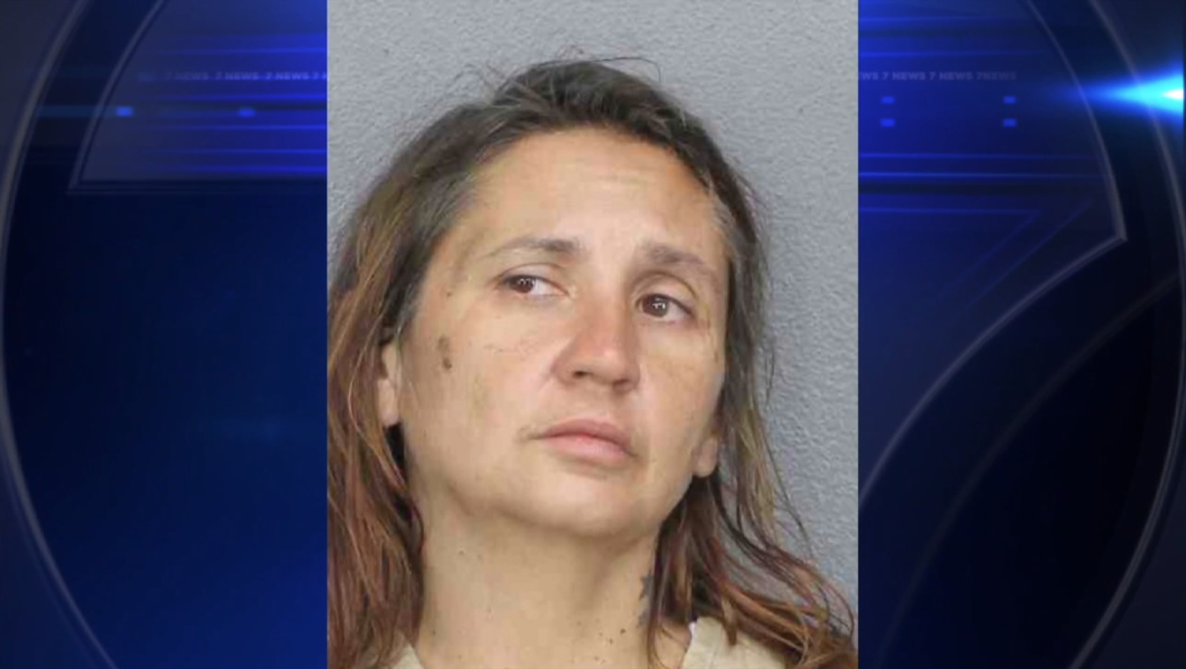 Woman stole cruiser from BSO headquarters, drove nearly 80 miles before getting caught in Port St. Lucie, detectives say - WSVN 7News | Miami News, Weather, Sports