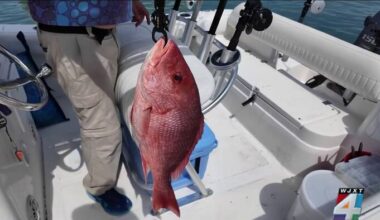 Florida anglers get 14-day red snapper season in October