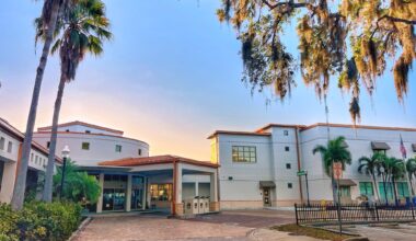 Book sale for Safety Harbor library among best events happening across Tampa Bay this weekend [September 24-October 1]