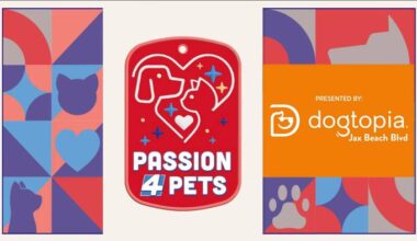Why dog owners keep coming back to Dogtopia Jacksonville Beach Blvd.