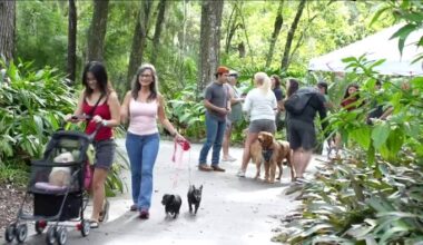 Tails & Trails at Jacksonville Arboretum & Gardens