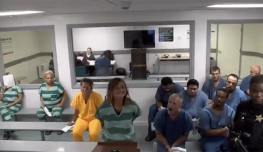 Woman accused of stealing marked BSO car makes bizarre bond court appearance – NBC 6 South Florida