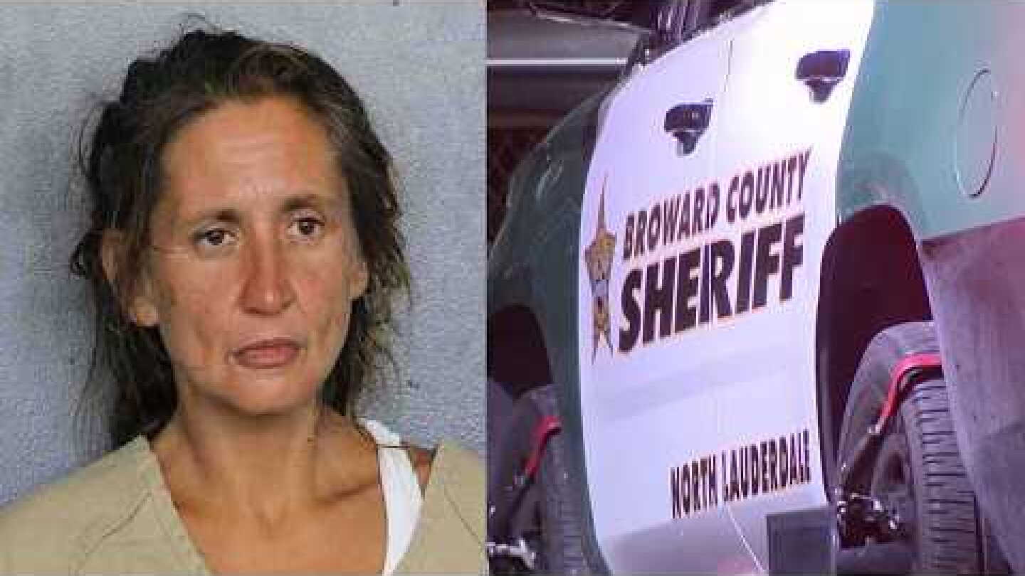 Florida woman steals sheriff's office vehicle, flees nearly 100 miles