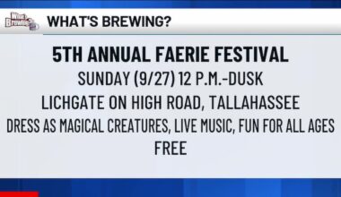 What’s Brewing - 5th annual Faerie Festival
