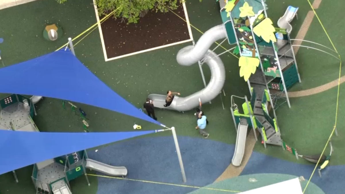 Minor found unresponsive at Shenandoah Park in Miami, police say – NBC 6 South Florida