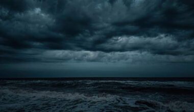 Florida’s winter outlook is very different. Here’s what to expect in 2026/2027