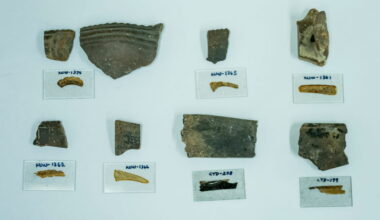Archaeologists solve centuries-old mystery of Tampa Bay&rsquo;s skilled migrant potters