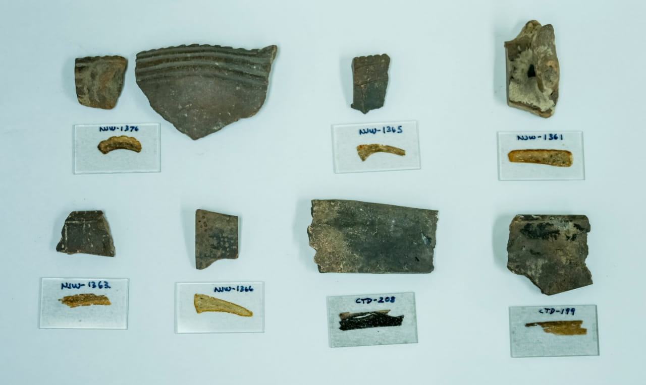 Archaeologists solve centuries-old mystery of Tampa Bay&rsquo;s skilled migrant potters