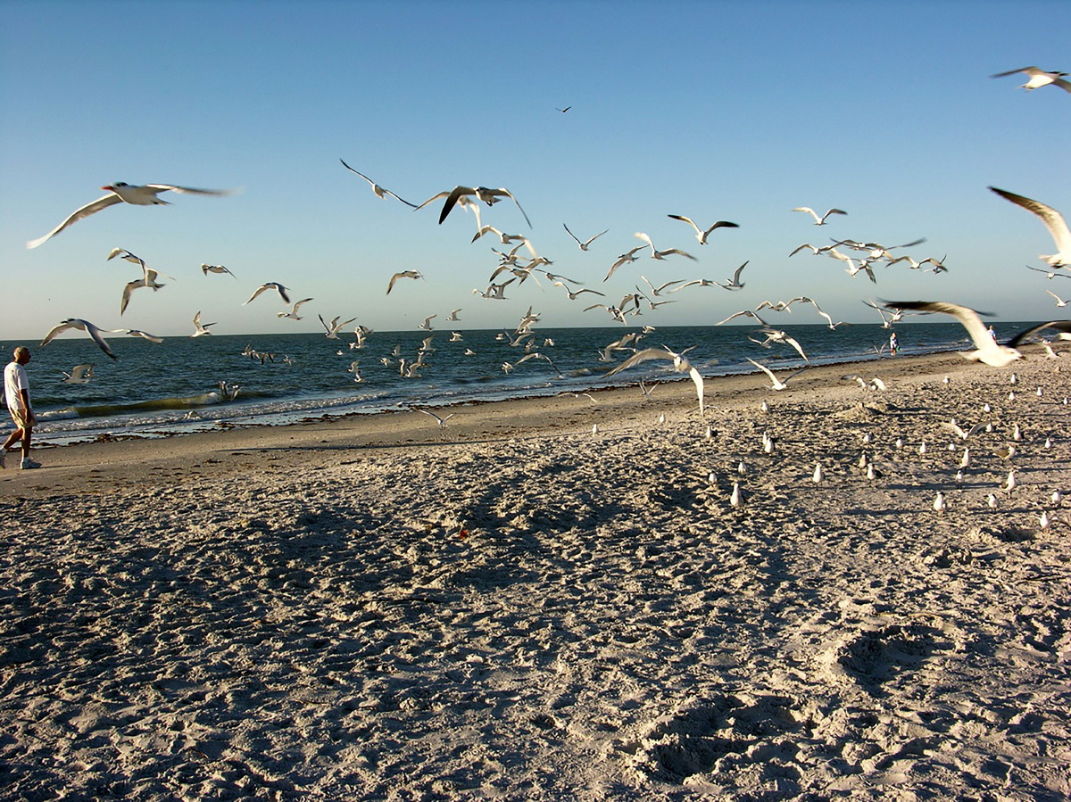 Sanibel Island has been in the news with recognition that includes U.S. News & World Report naming it the “Best Relaxing Vacation Destination,” praising its white-sand beaches and J.N. “Ding” Darling National Wildlife Refuge as places where travelers can slow down and reconnect with nature.