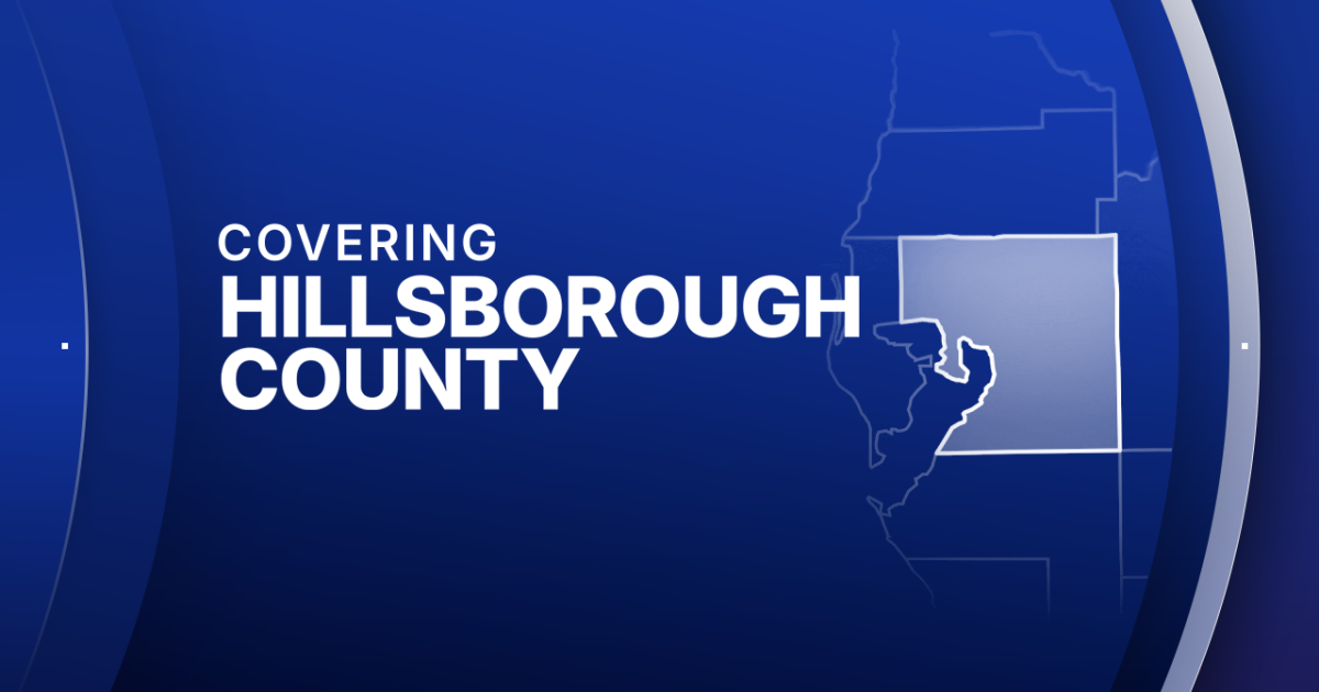 Woman cited after critically injuring pedestrian in Tampa crosswalk crash: TPD