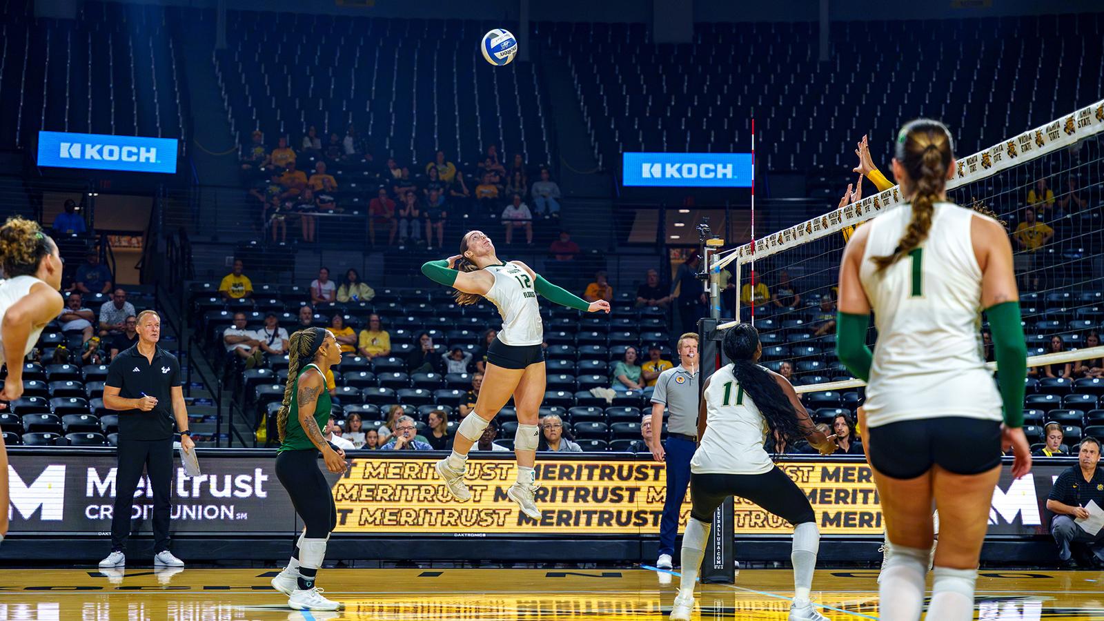 South Florida Volleyball Shocks Wichita State on Sunday