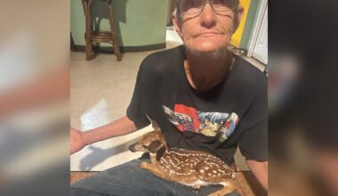 Deputies search for missing, endangered man in Sumter County