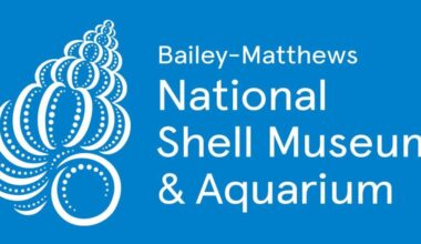 Shell museum offers homeschool half-days program | News, Sports, Jobs