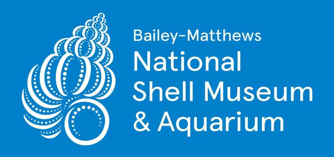 Shell museum offers homeschool half-days program | News, Sports, Jobs
