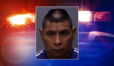 Nocatee traffic stop leads to arrest of man in US illegally, wanted for sexual battery on minor: SJCSO