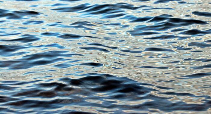 Missing swimmer found dead after search at Wekiva Springs State Park