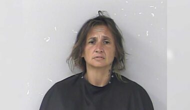 Woman accused of stealing South Florida deputy's patrol car