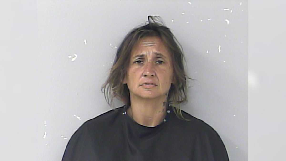 Woman accused of stealing South Florida deputy's patrol car