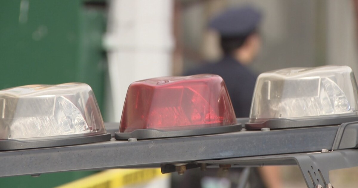 1 dead after single-vehicle crash; Tallahassee police investigating