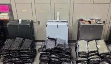 More than 200 pounds of marijuana seized in airport drug busts