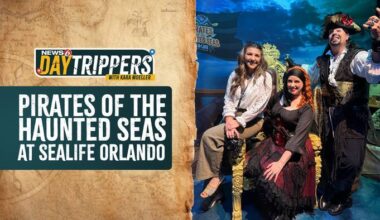 🏴‍☠️Pirates of the Haunted Seas at SEA LIFE Orlando: A family guide to the Halloween event