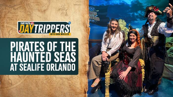 🏴‍☠️Pirates of the Haunted Seas at SEA LIFE Orlando: A family guide to the Halloween event
