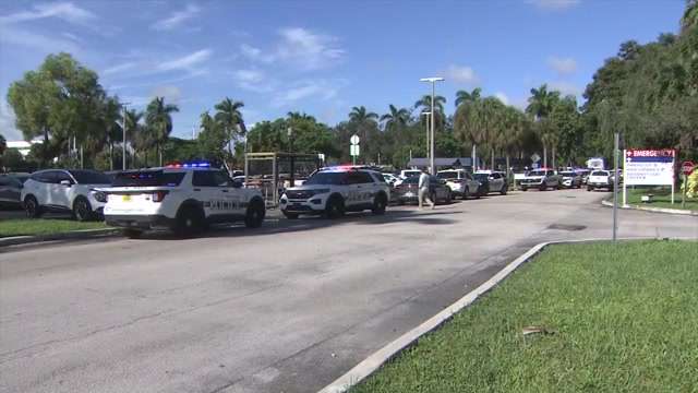 Man carjacked woman outside Palmetto General Hospital in Hialeah, witnesses say; victim treated at hospital - WSVN 7News | Miami News, Weather, Sports