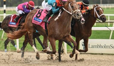 Tampa Bay Derby Leads Tampa Bay Downs Stakes Schedule
