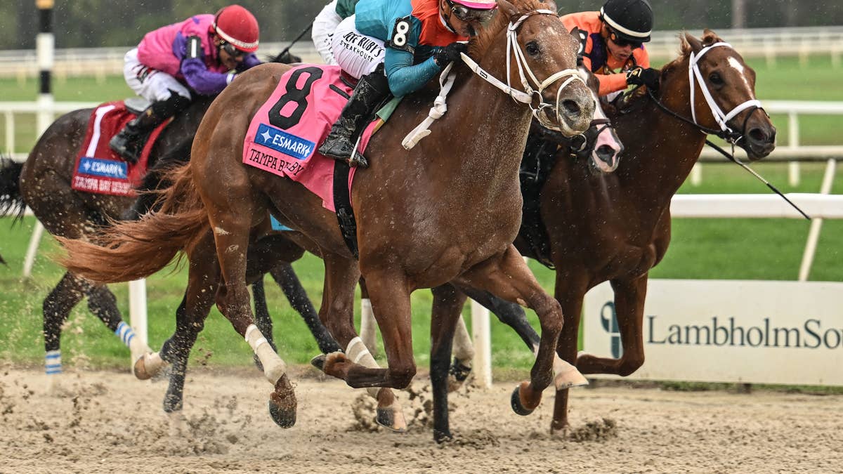 Tampa Bay Derby Leads Tampa Bay Downs Stakes Schedule