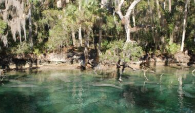 Body pulled from water at Wekiva Springs, officials say