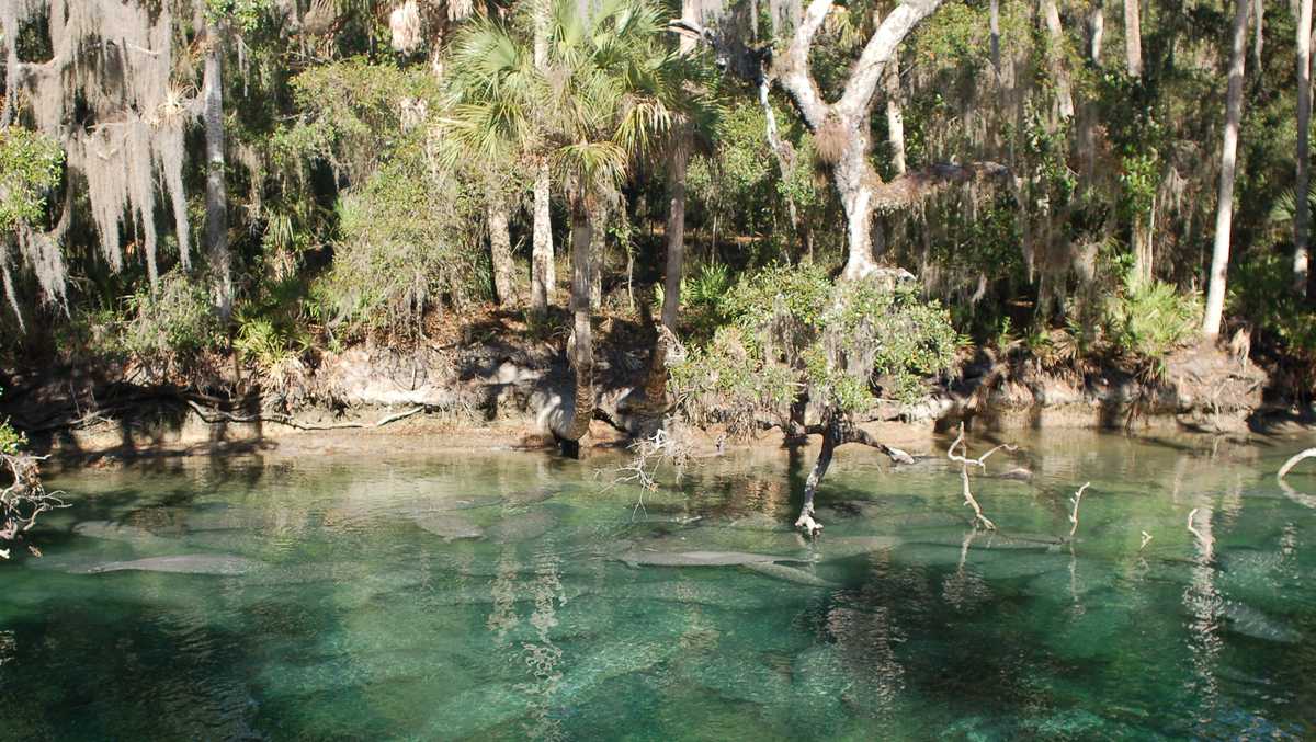 Body pulled from water at Wekiva Springs, officials say