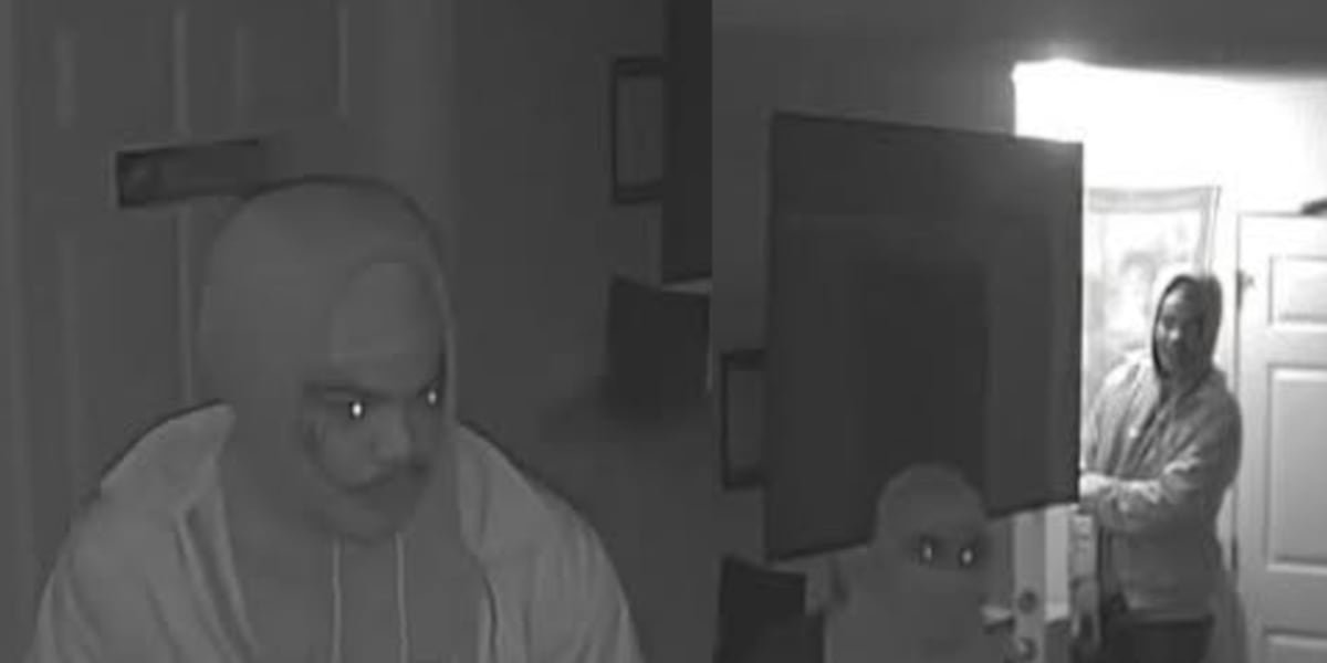 Jacksonville police ask for help identifying people in burglary investigation