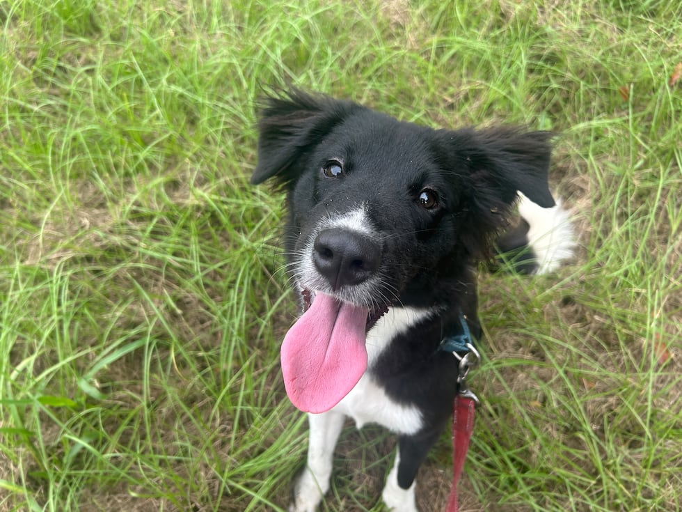 Miyuki would love to celebrate her birthday with a brand new family that embraces her...