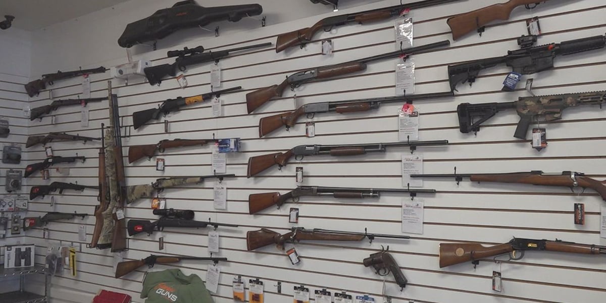 No sales tax on guns in Florida; Small retailers say details don’t help them much