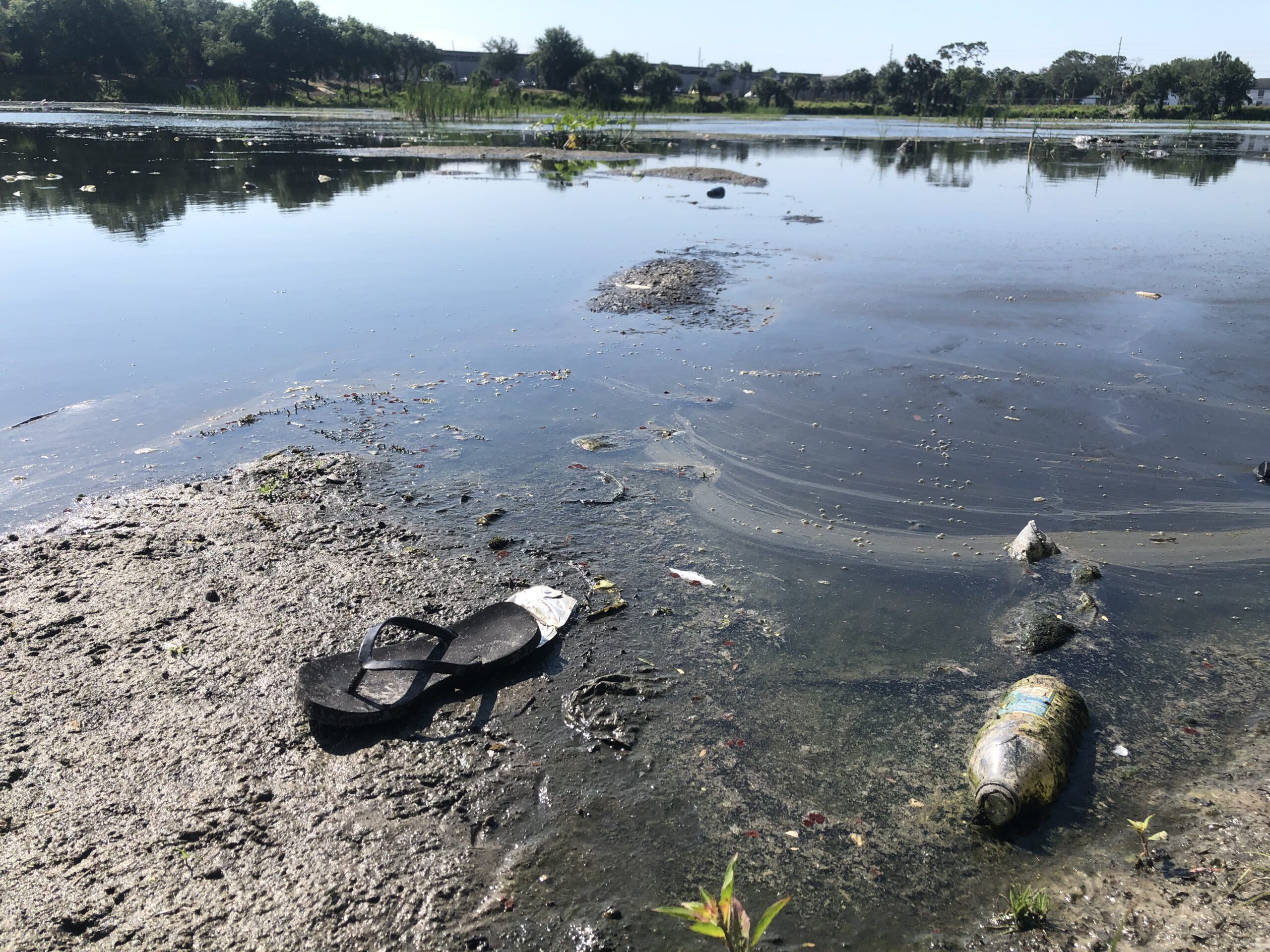 This is an image of Tampa's University Area's Aarans Pond.