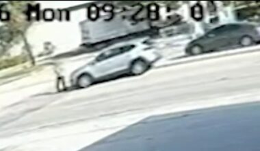Pedestrian struck and killed on Broward Boulevard in Fort Lauderdale, cops say – NBC 6 South Florida