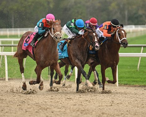 Tampa Bay Derby Purse Increased $100K to $500K
