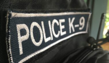 St. Petersburg Police K-9 Chance Receives Protective Body Armor | NewsRadio WFLA