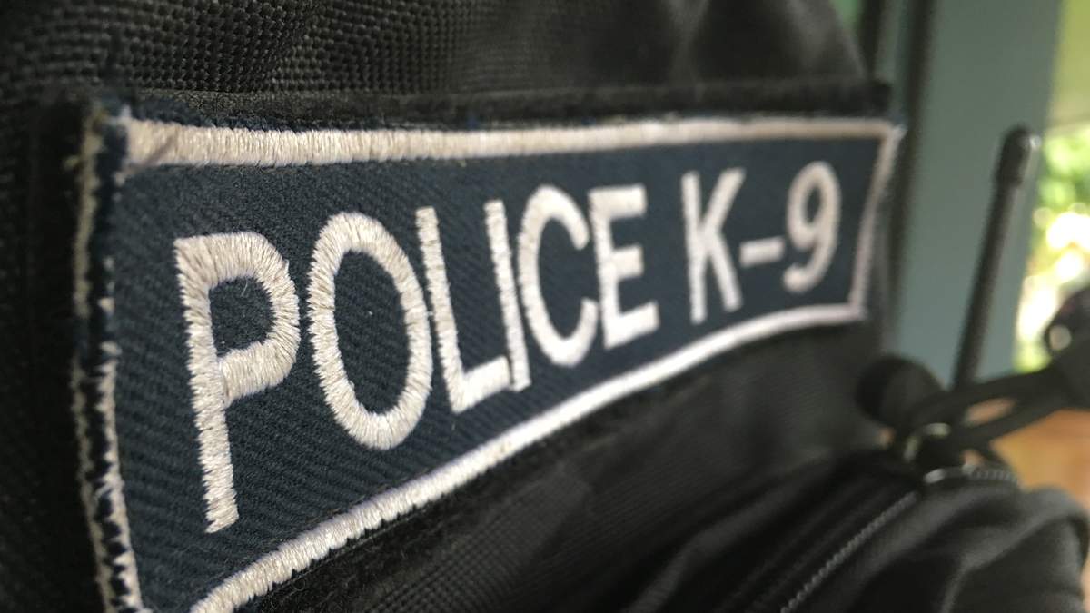 St. Petersburg Police K-9 Chance Receives Protective Body Armor | NewsRadio WFLA