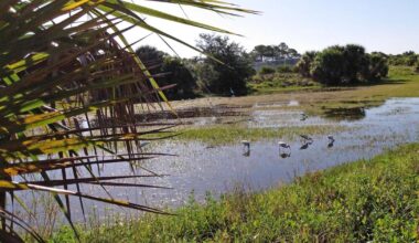 Outdoor News Bulletin | Waterline