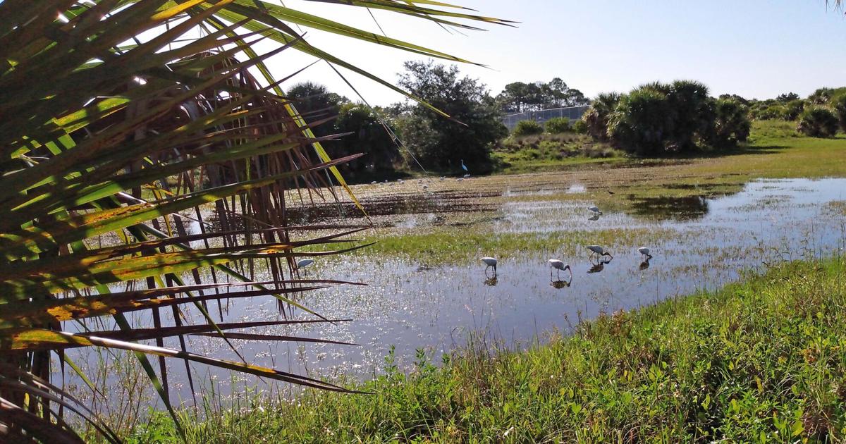 Outdoor News Bulletin | Waterline