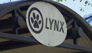 LYNX proposes major route changes, discontinuations