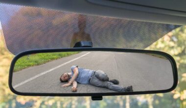 Police Seek Mercedes Driver After Fatal St. Pete Hit and Run | NewsRadio WFLA