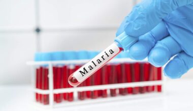 USF Discovery Advances Potential Malaria Vaccine | NewsRadio WFLA
