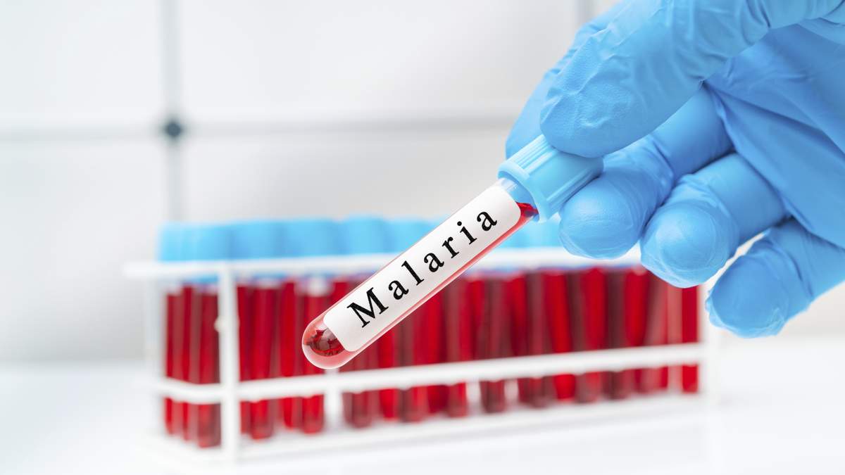 USF Discovery Advances Potential Malaria Vaccine | NewsRadio WFLA