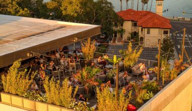 Tampa Bay's hottest new restaurants to open this summer