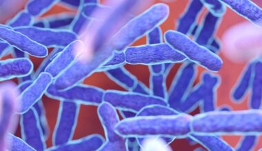 Broward Vibrio Death Raises Florida’s 2026 Total to 4 | NewsRadio WIOD