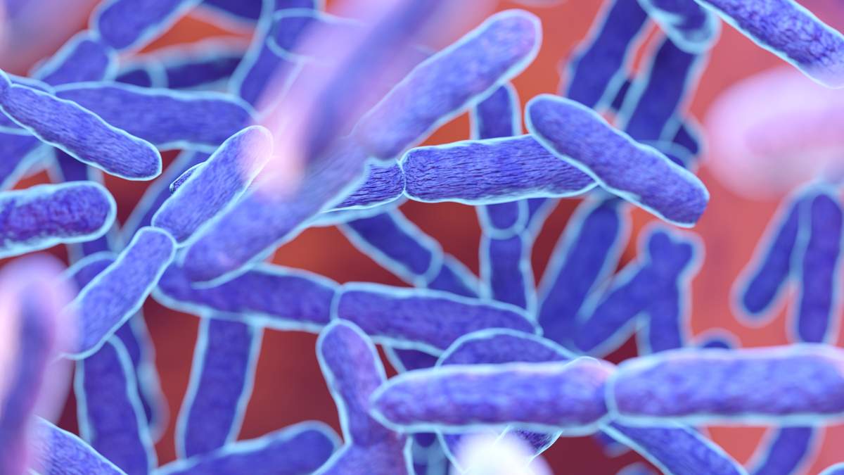 Broward Vibrio Death Raises Florida’s 2026 Total to 4 | NewsRadio WIOD